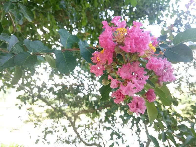 绿水青山，，，，，，，联翩而至，，，，，，，beats3652018云浮之旅