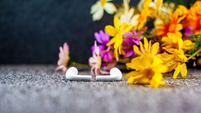 beats365小海豚耳机体验：小身段大音质，，，，，AirPods百元平替